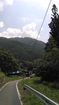 2015-07-31 10.03.11