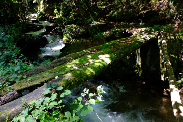 DSCF3929