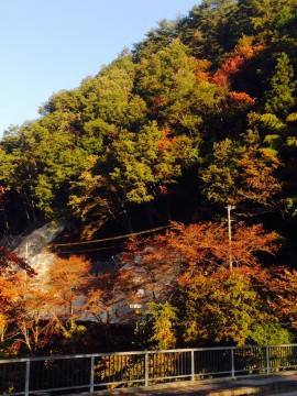 フルサイズ：縦横最大3000px