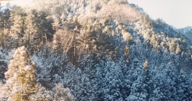 冬景色