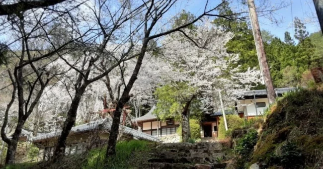 林松寺