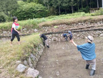 田植え
