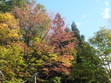 フルサイズ：縦横最大3000px