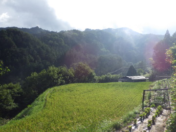 フルサイズ：縦横最大3000px