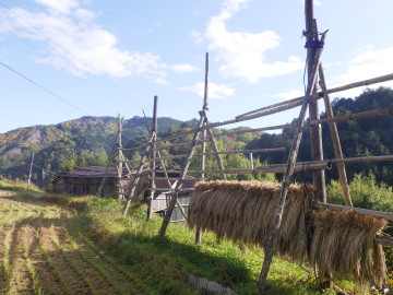 フルサイズ：縦横最大3000px